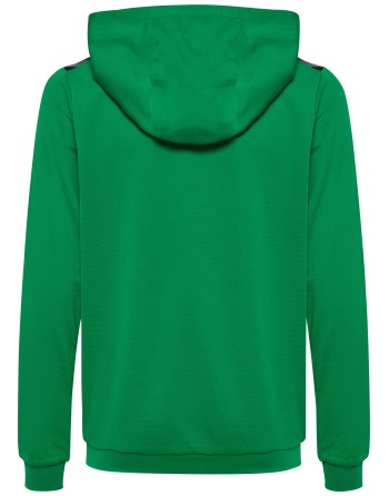 hmlAUTHENTIC PL HOODIE KIDS