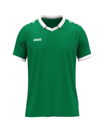 Trikot Glory KA / Polyester-Micro-Mesh