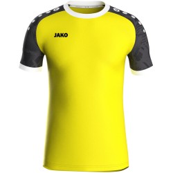 Trikot Iconic KA / Polyester-Interlock